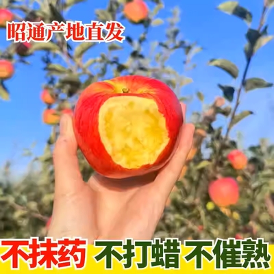 正宗云南本土红露新苹果应当季脆甜清爽冰糖心丑苹果新鲜水果包邮
