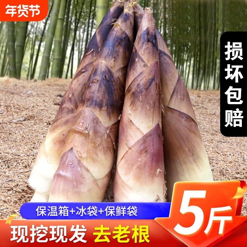 【顺丰冷链】雷竹笋春笋浙江新鲜现挖雷笋高山野生农家时令嫩蔬菜,水产肉类/新鲜蔬果/熟食,竹笋,淘宝优惠券,粉丝福利购,淘宝优惠卷