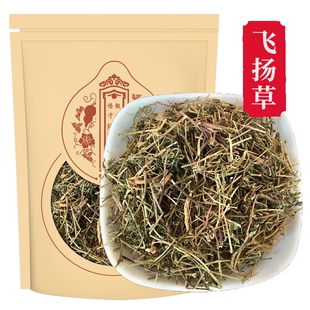 甄选飞杨草新货正品飞扬草煮水泡茶新货乳汁草正品节节花飞扬草