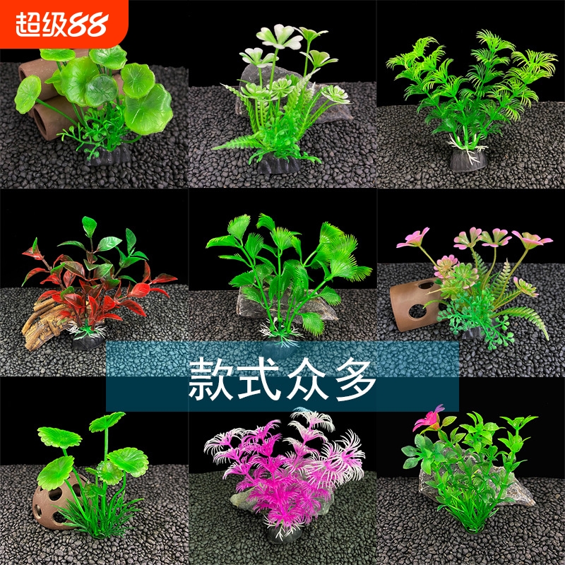 防真多肉微景观小水草摆件假花