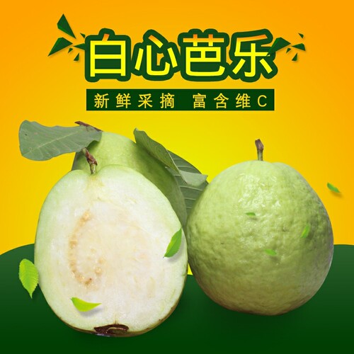 广西白心芭乐白肉番石榴