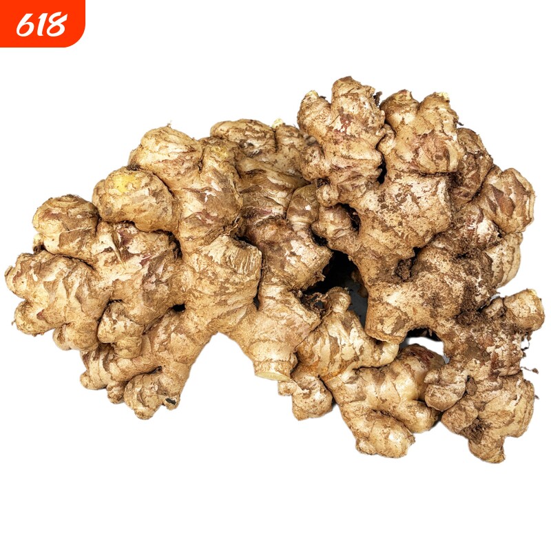 老姜云南小黄姜红河新鲜生姜现挖高山沙姜土姜种子蔬菜食用