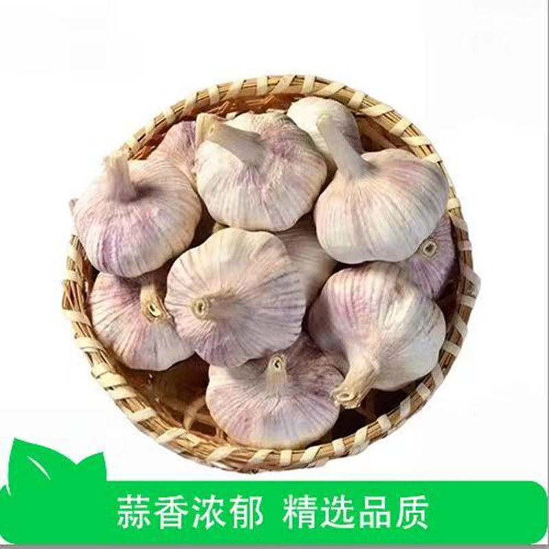 【芭芭农场兑换】紫皮大蒜2斤装单果4.5CM+12月1期补采,水产肉类/新鲜蔬果/熟食,大蒜,淘宝优惠券,粉丝福利购,淘宝优惠卷