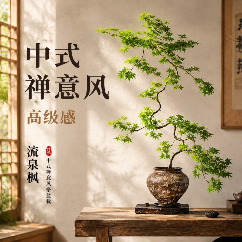 流泉枫盆栽绿植客厅老桩盆景中式造型室内枫树桌面好养造景茶桌图片