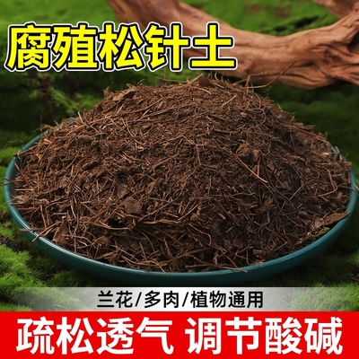 松针腐殖土天然腐叶腐熟土