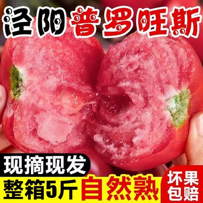 陕西泾阳普罗旺斯西红柿沙瓤自然熟当季现摘新鲜番茄生吃整箱5斤
