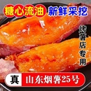 山东烟薯25号正宗流油蜜薯糖心新鲜红薯红心烤地瓜农家番薯小山芋