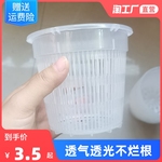 控根盆兰花专用盆透气透光控水防烂蝴蝶兰地面盆绿植盆桌面花卉盆