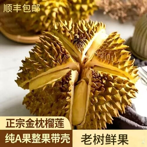 泰国老树金枕榴莲鲜果A级品质果