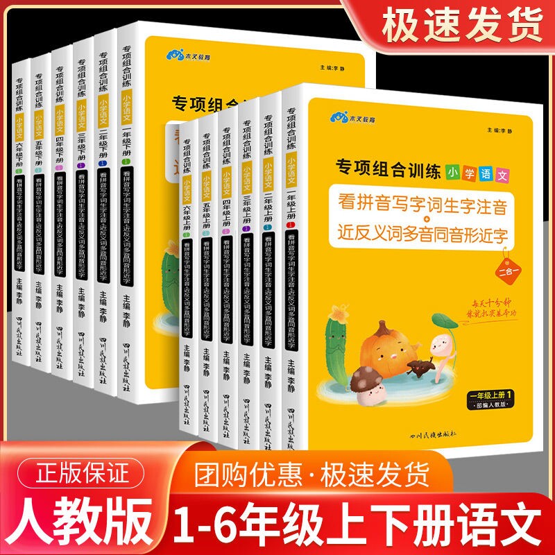 看拼音写词语小学语文专项组合训练一二年级三年级四五六年级上册下册