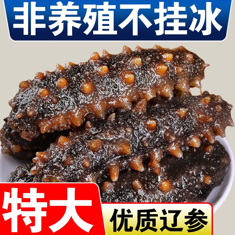 鲜蒸即食海参大连鲜活辽刺参滋补刺参礼盒品质旗舰店水产冷冻年货