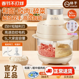 扬子和面机官方旗舰店绞肉和面一体机多功能电动家用小型杨子料理