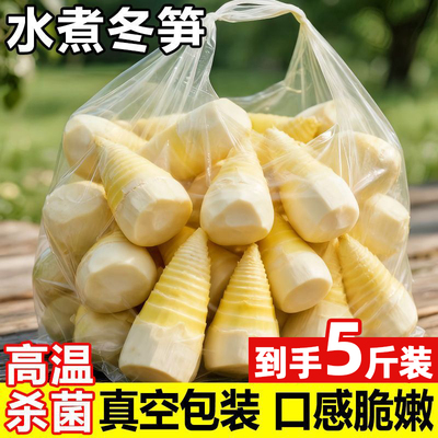 江西野山冬笋新鲜竹笋特产真空水煮冬笋清水冬笋火锅批发食材整箱