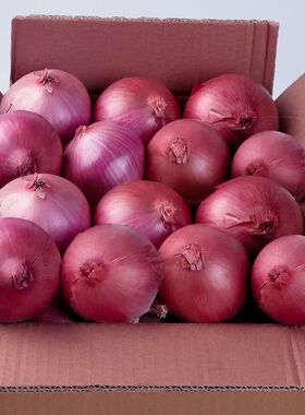 抢5斤紫皮洋葱生吃专用辣味蔬菜圆葱水果洋葱