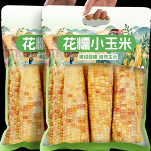 云南西双版纳香糯小玉米新鲜真空装甜糯花包谷花糯玉真空包装即食