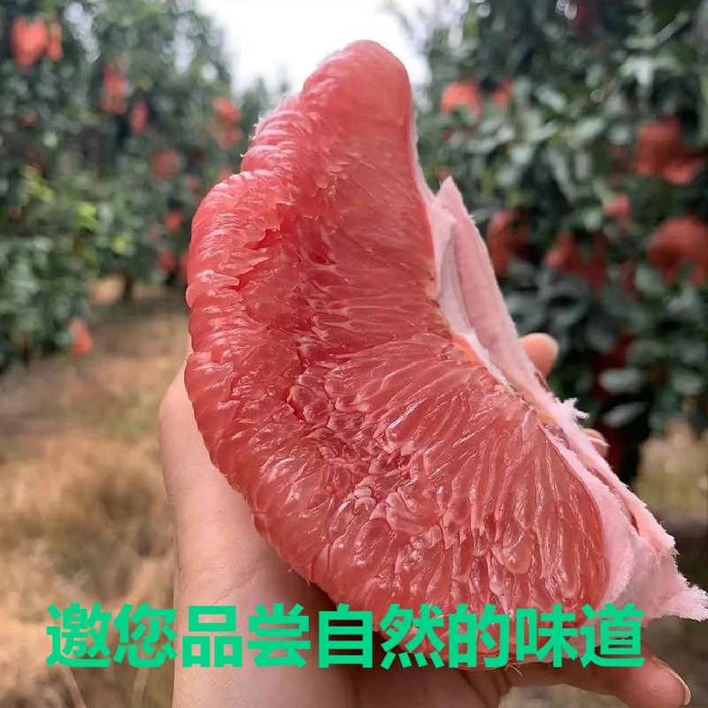 现摘现发红心柚子红蜜柚新鲜孕妇水果红蜜柚当季大红心红肉柚子