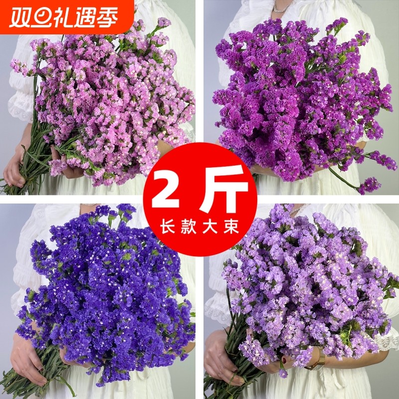 干花花束客厅摆设装饰摆件云南真花风干天然鲜花批发满天星勿忘我