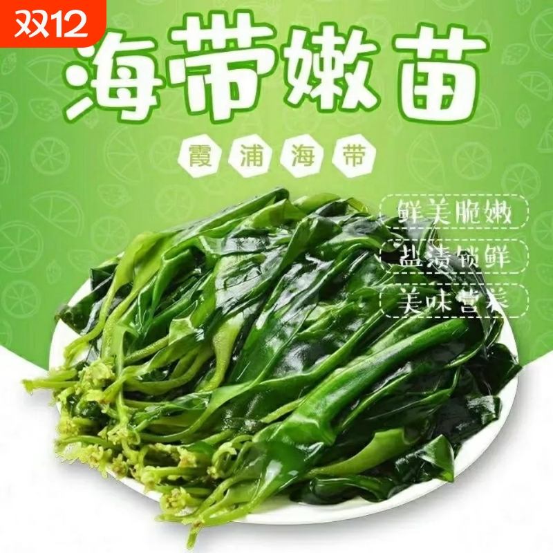 福建霞浦嫩海带苗|千人回购