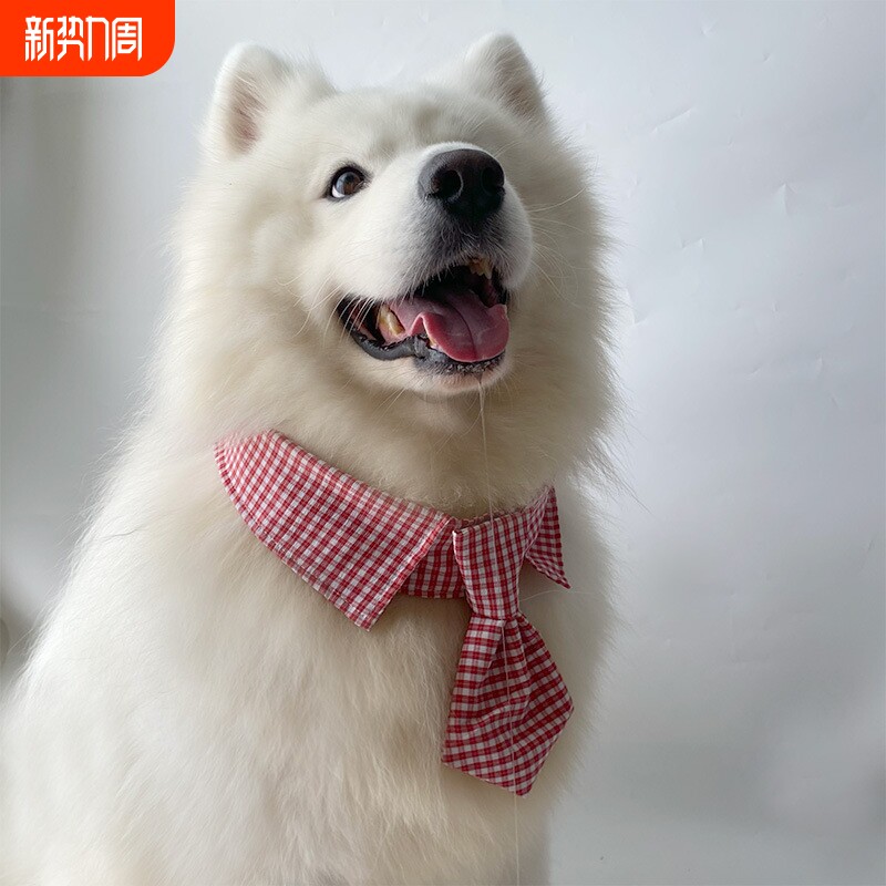 宠物狗狗红色格子领结萨摩耶拉布拉多大中小型犬领巾领结拍摄装饰