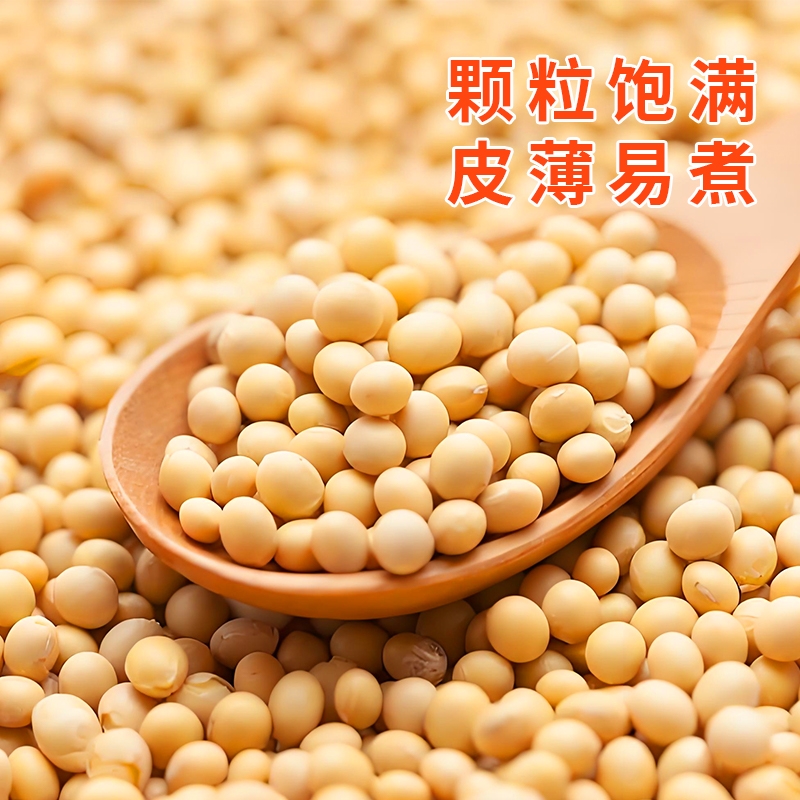 东北黄豆真空农家新货自种非转基因煲汤煮粥可打豆浆发豆芽专用