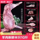 羊肉新鲜半只羊现杀10斤内蒙古生羊肉羊腿羊排羊蝎子火锅食材年货