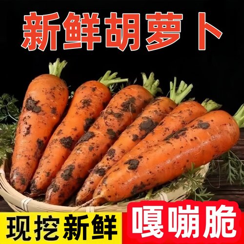 新鲜胡萝卜带泥农家自种现挖当季水果脆甜多汁生吃蔬菜包邮自提