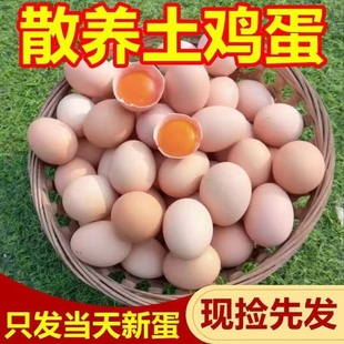 新鲜农家散养土鸡蛋鲜鸡蛋五谷蛋初生蛋笨鸡蛋红心蛋40 50g多规格