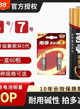 南孚电池聚能环5代碱性电池