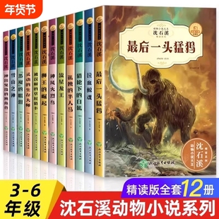 动物小说全集正版珍藏版适合小学生三四五六年级阅读的课外书籍必儿童文学名著读物十大经典故事恶魔的眼泪狼王梦泣血白狐