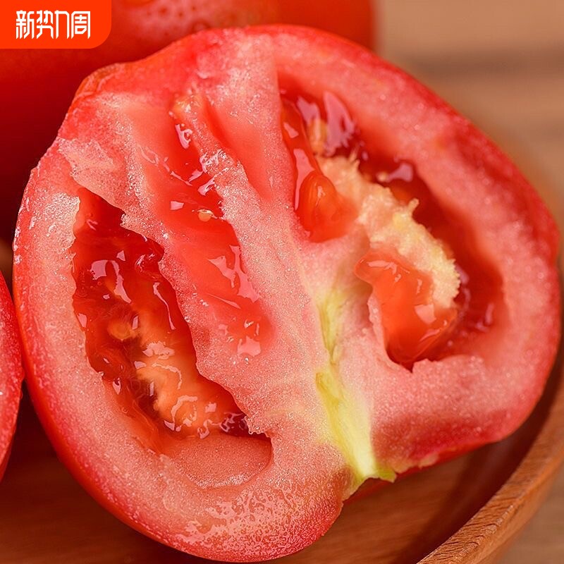 云南正宗沙瓤番茄非普罗旺斯新鲜生吃现摘蔬菜露天自然熟西红柿