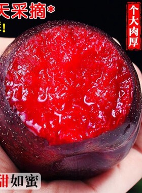 现摘玫瑰大李子当季风味黑布林血丝李黑皮红肉水果甜黑宝石