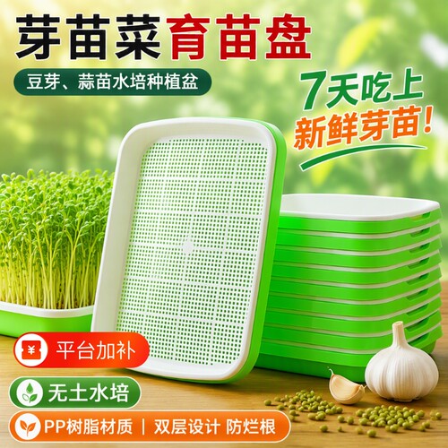 家用豆芽苗育苗种菜盆
