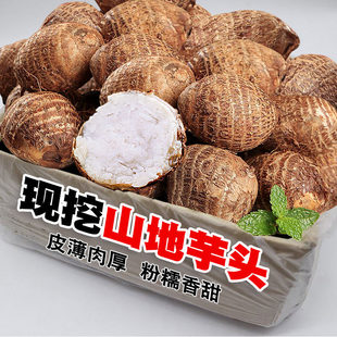 优质牛奶芋头现挖蔬菜当天挖软糯香正宗牛奶小芋头种植发芽率高