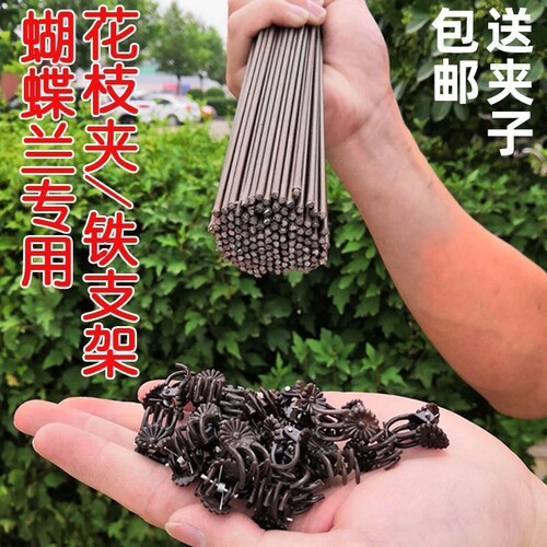 蝴蝶兰专用支架兰花卉固定夹子保护帽植物固定枝器包塑花架支撑杆