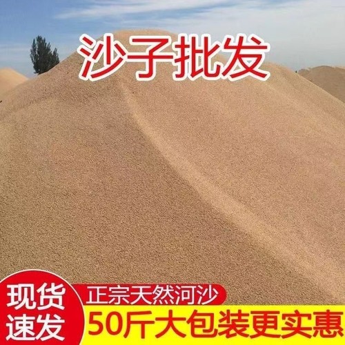 天然河沙沙子细沙粗沙黄沙砂沙土土壤种植实验填充鱼缸种菜营养土