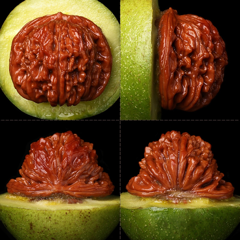 文玩核桃直播中赌皮四座楼蛤蟆头磨盘三棱特大狮子官帽宫灯麒麟纹