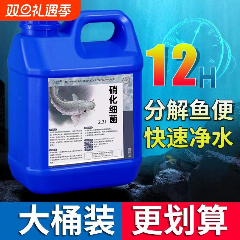 鱼缸硝化细菌硝化菌养鱼用品水族净水剂活菌水质稳定菌王分解活性