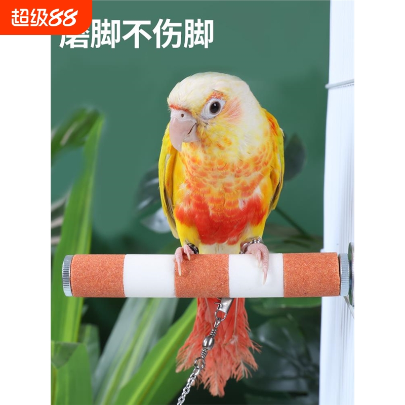 鹦鹉磨嘴魔爪棒虎皮玄凤专用磨牙用品磨砂站杆鸟笼站棍站架