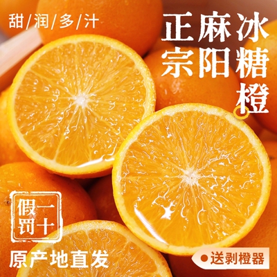 「官方推荐」湖南冰糖橙橙，甜！