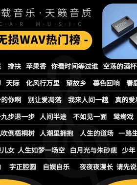 车载音乐U盘无损音质新款汽车抖音流行DJ歌曲真WAV格式音源母带