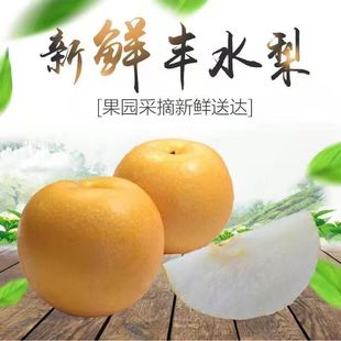 丰水梨水果梨子新鲜冰糖雪梨子整箱包邮当季脆甜梨子包邮
