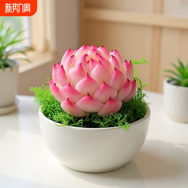 法兰西玫瑰多肉系冰边植物阳台花卉桃蛋带盆玉露精品老桩开花水晶