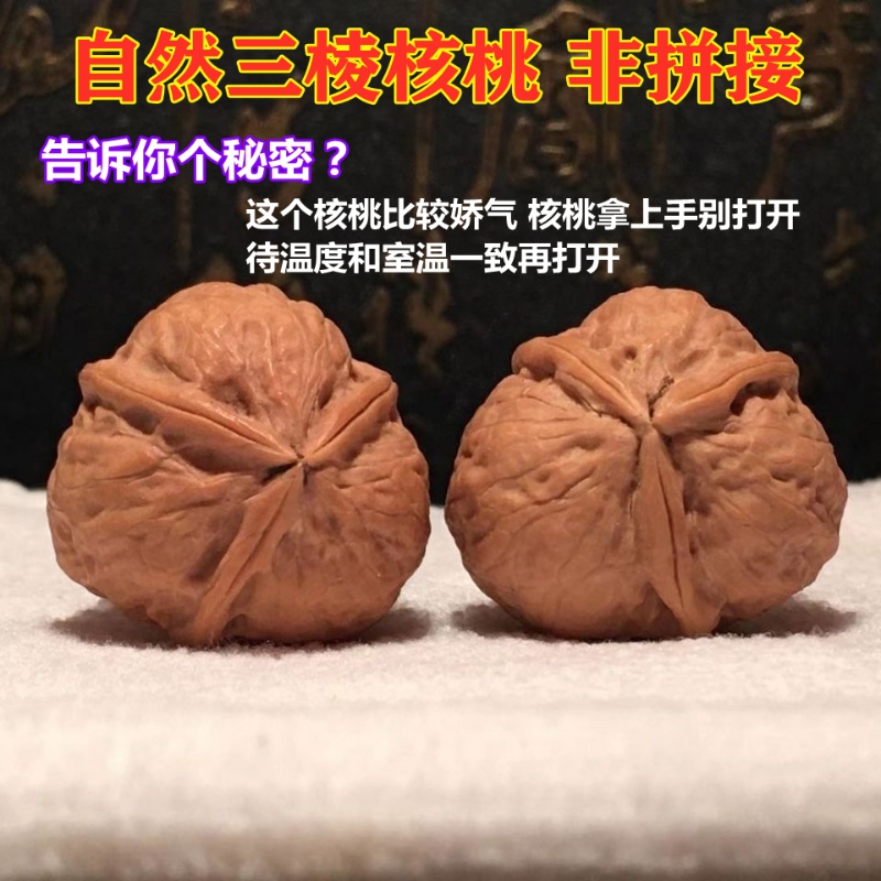 精品文玩铁核桃蛇皮纹三棱蛤蟆头金蟾疙瘩包元宝铁核桃古玩