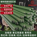 爬藤架花架包塑钢管西瓜豆角番茄黄瓜园艺固定杆葡萄植物支撑架子