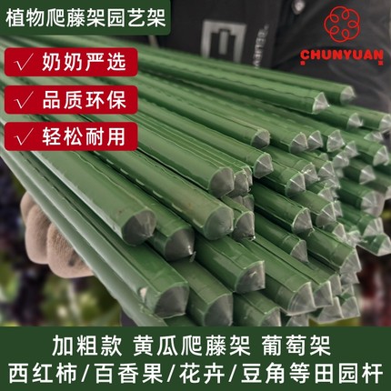 爬藤架花架包塑钢管西瓜豆角番茄黄瓜园艺固定杆葡萄植物支撑架子