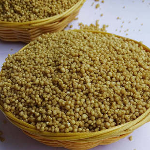 正宗贵州威宁特产苦荞饭黑荞麦疙瘩乔米五谷杂粮饭店专用苦荞米