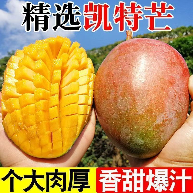 四川攀枝花凯特芒果新鲜水果当季青皮大脸芒果园现摘产地直发水果