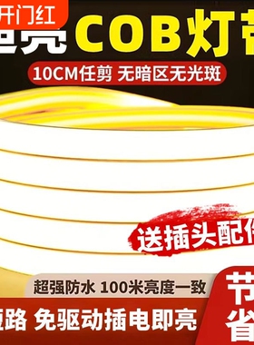 超亮led灯带220v户外防水家用客厅吊顶自粘灯槽COB发光低压照明