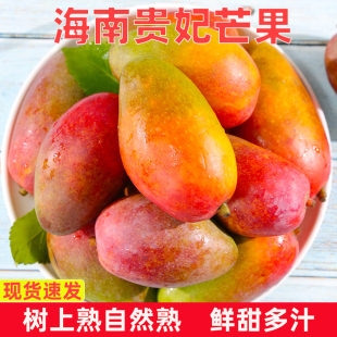 包邮 彩虹多汁直发大果海南贵妃芒果 海南正宗贵妃芒芒果新鲜当季