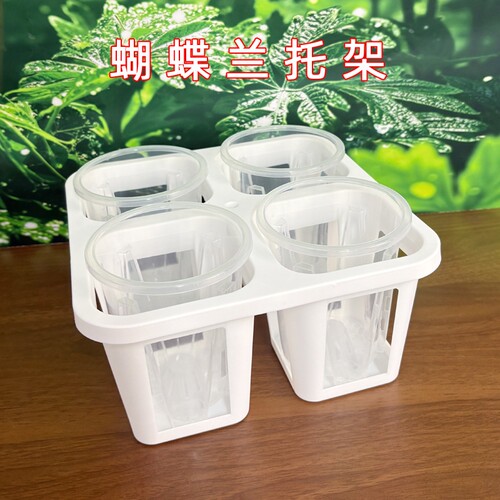 蝴蝶兰4格托架组盆万象盆托架